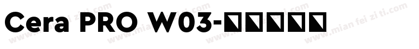 Cera PRO W03字体转换